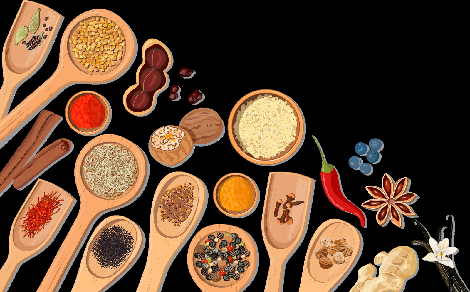 Garam Masala and aromatic Indian spices