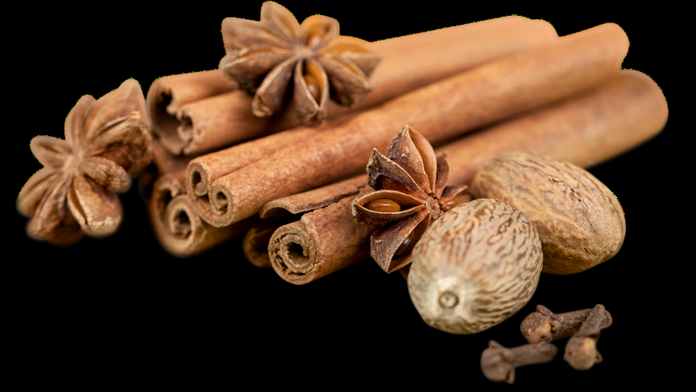 Meat Masala spices with cinnamon